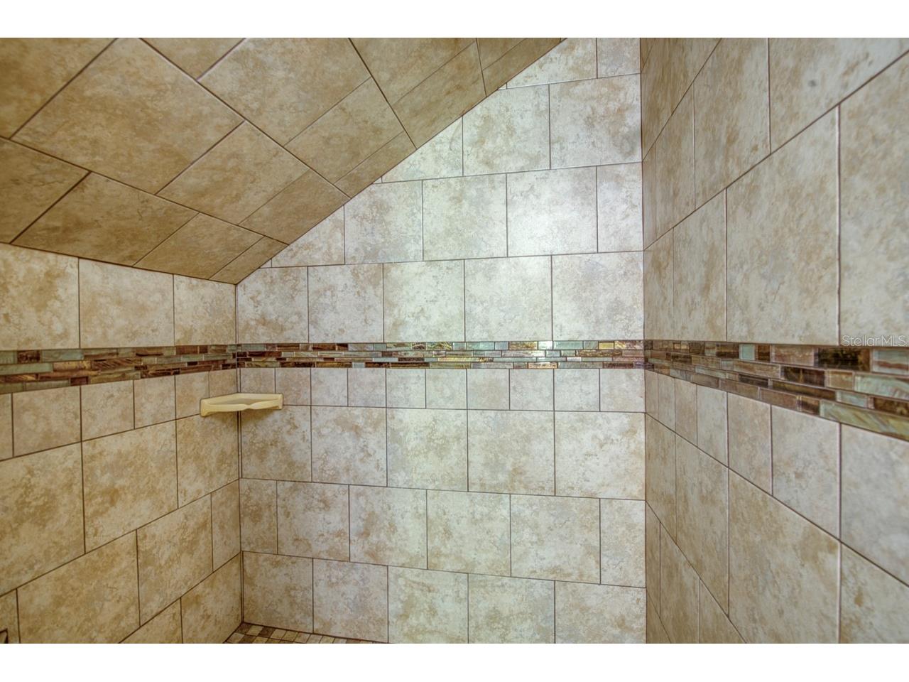 17321 Simmons Road Lutz FL 33548 TB8513644 image22