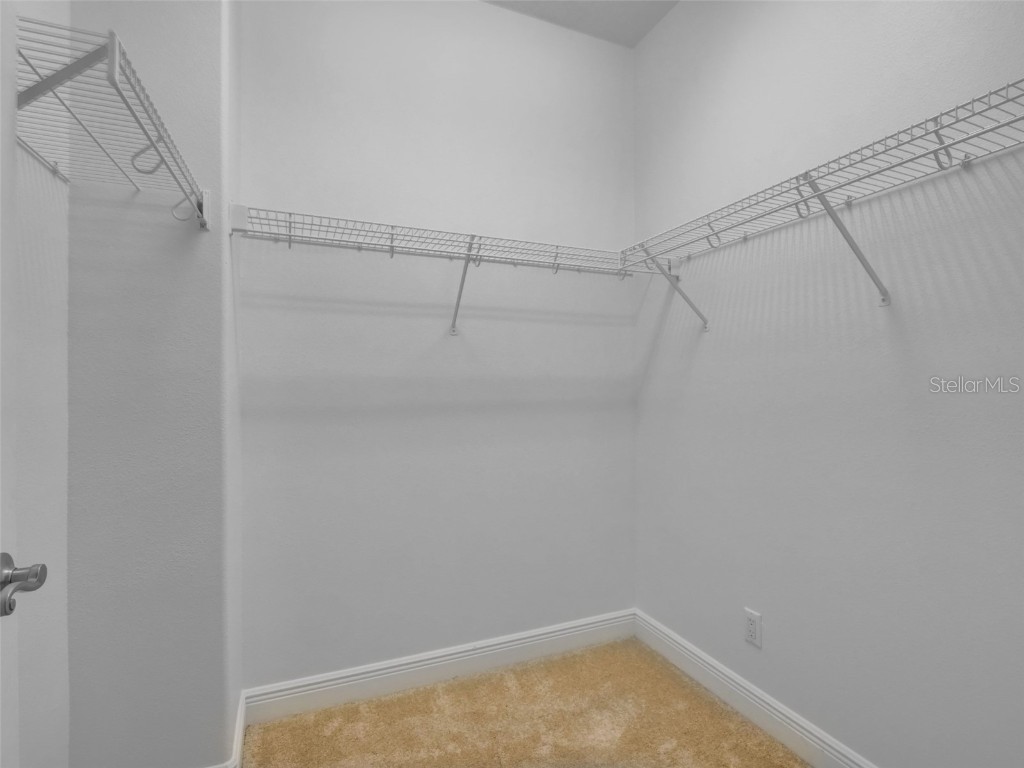 17322 Chateau Pine Way Clermont FL 34711 O6318342 image28