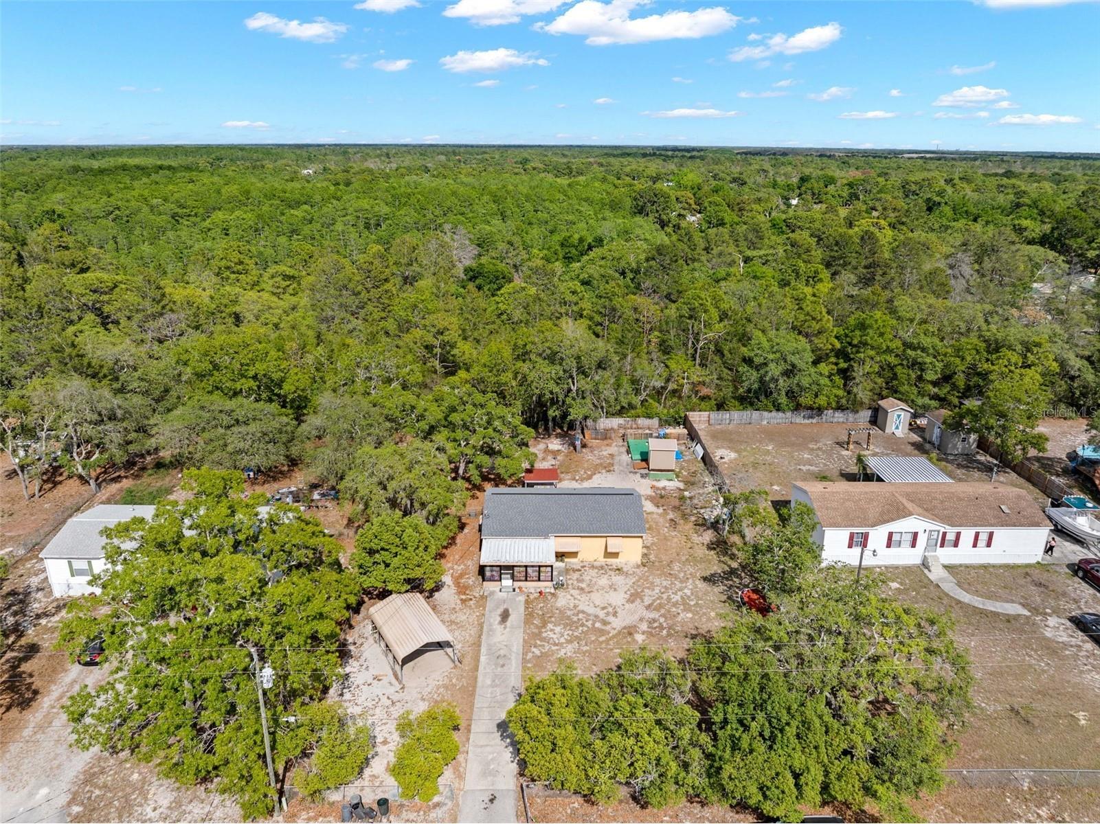 17322 Harmony Drive Hudson FL 34667 W7885085 image24