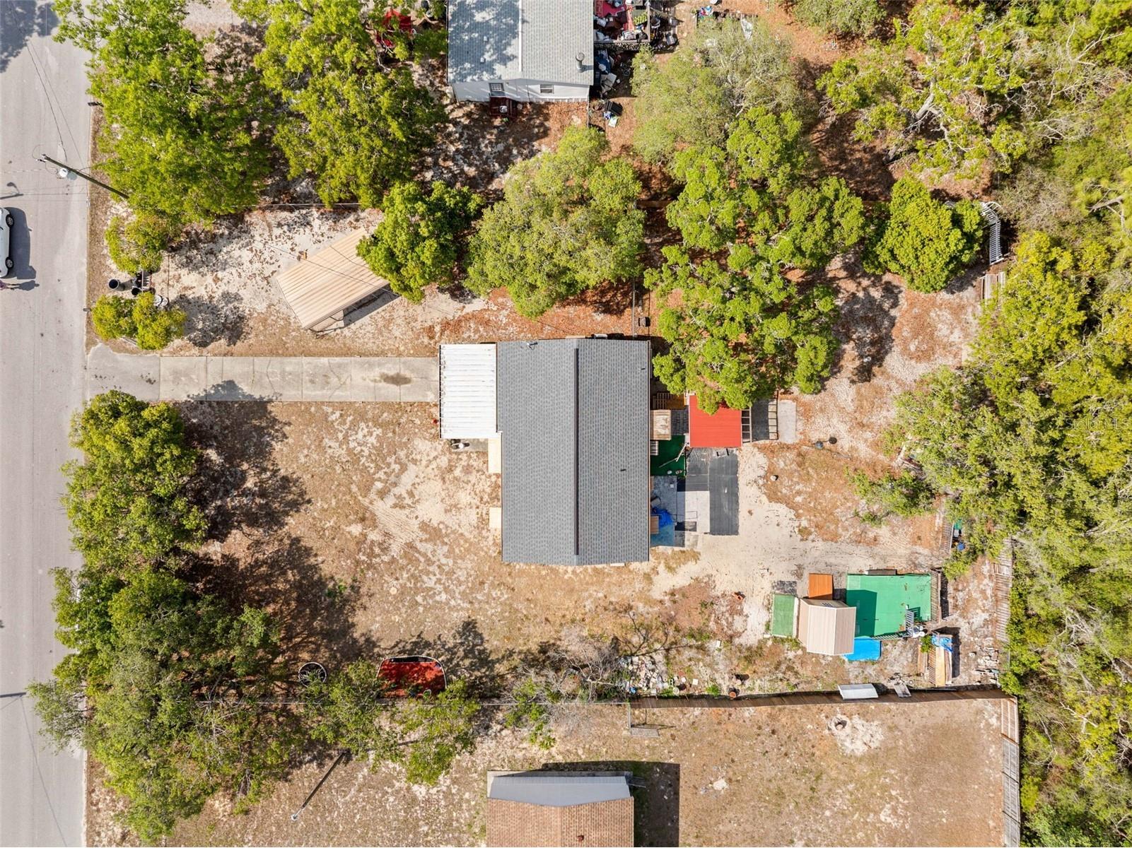 17322 Harmony Drive Hudson FL 34667 W7885085 image4