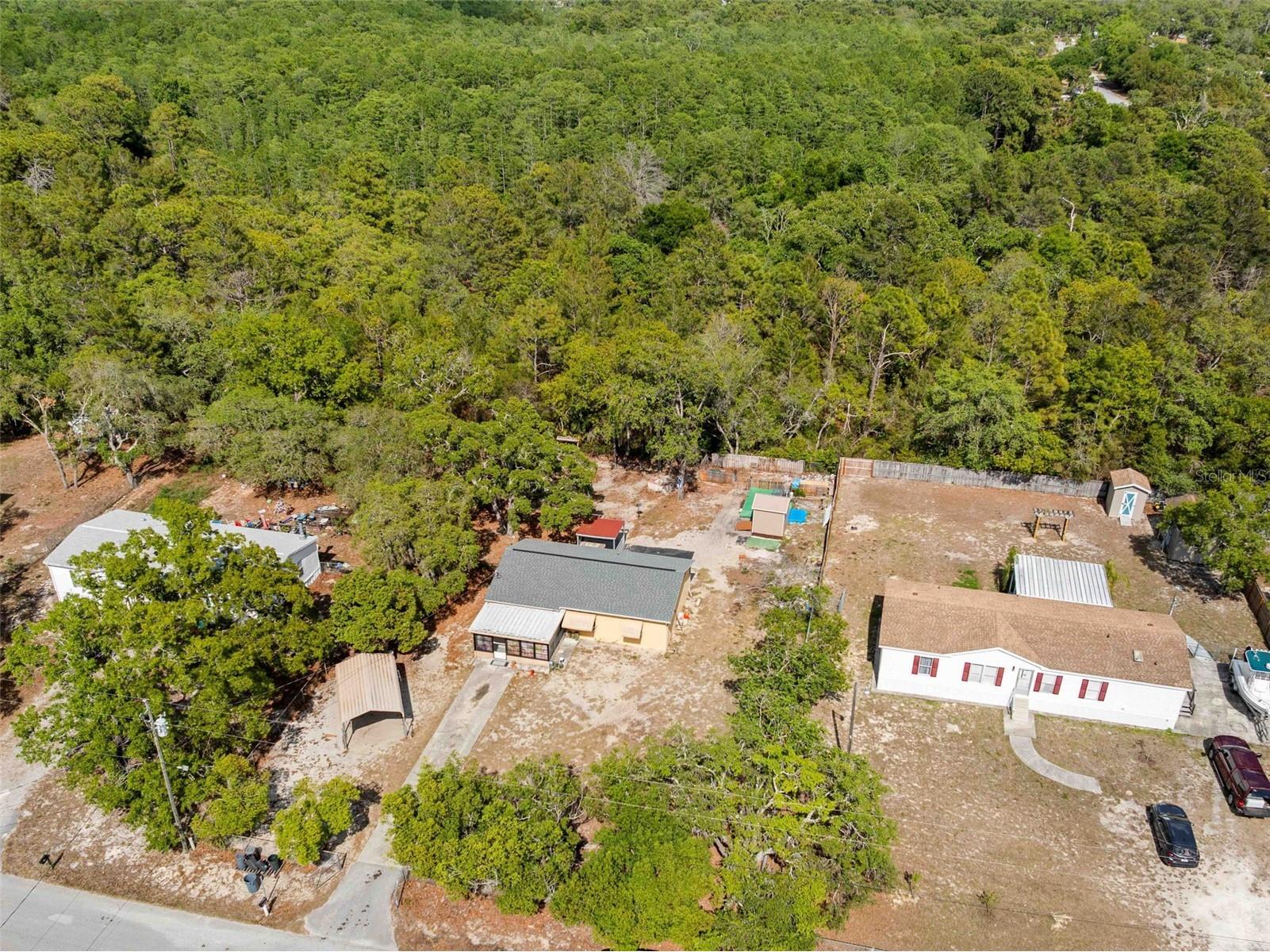 17322 Harmony Drive Hudson FL 34667 W7885085 image8