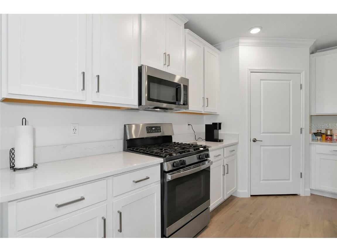 17322 Holly Well Avenue Wimauma FL 33598 A4635537 image14