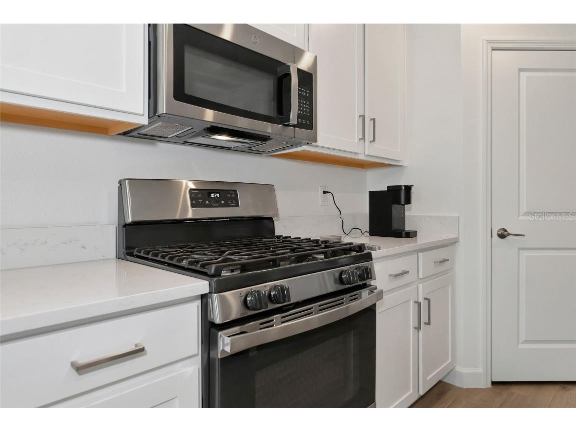 17322 Holly Well Avenue Wimauma FL 33598 A4635537 image15