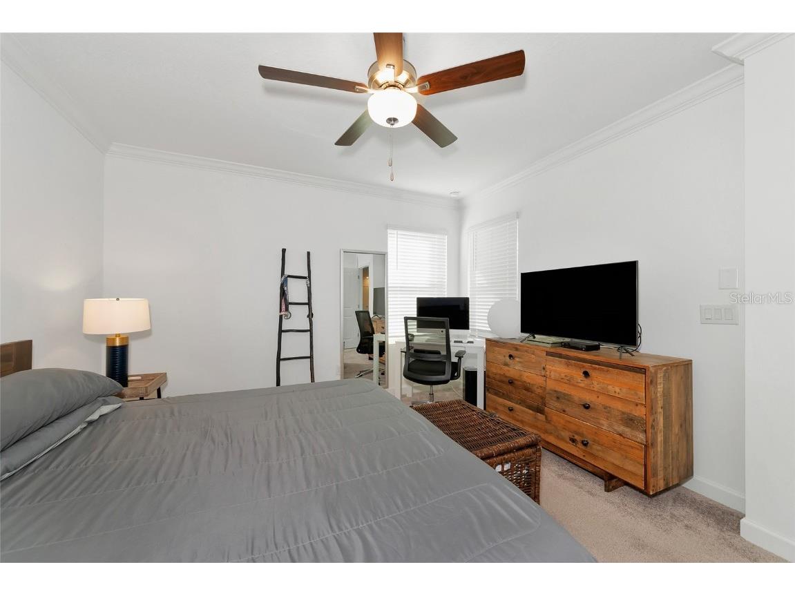 17322 Holly Well Avenue Wimauma FL 33598 A4635537 image18