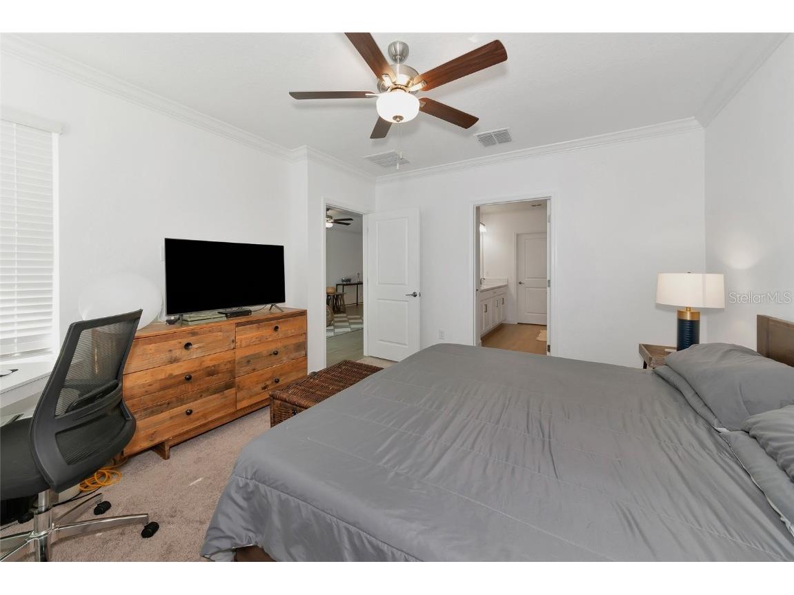 17322 Holly Well Avenue Wimauma FL 33598 A4635537 image19