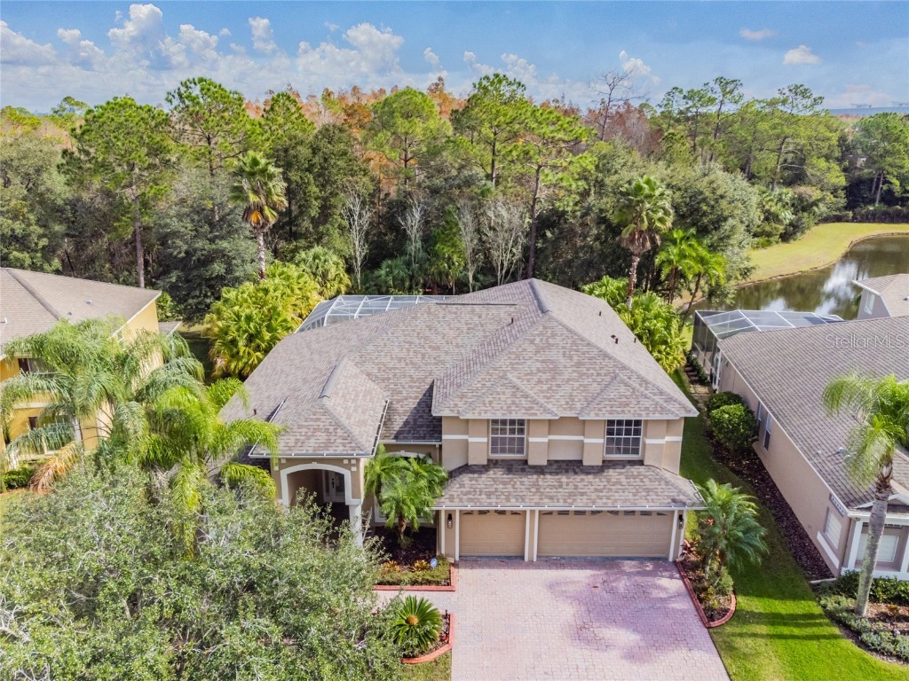 17323 Emerald Chase Drive Tampa FL 33647 T3344224 image1