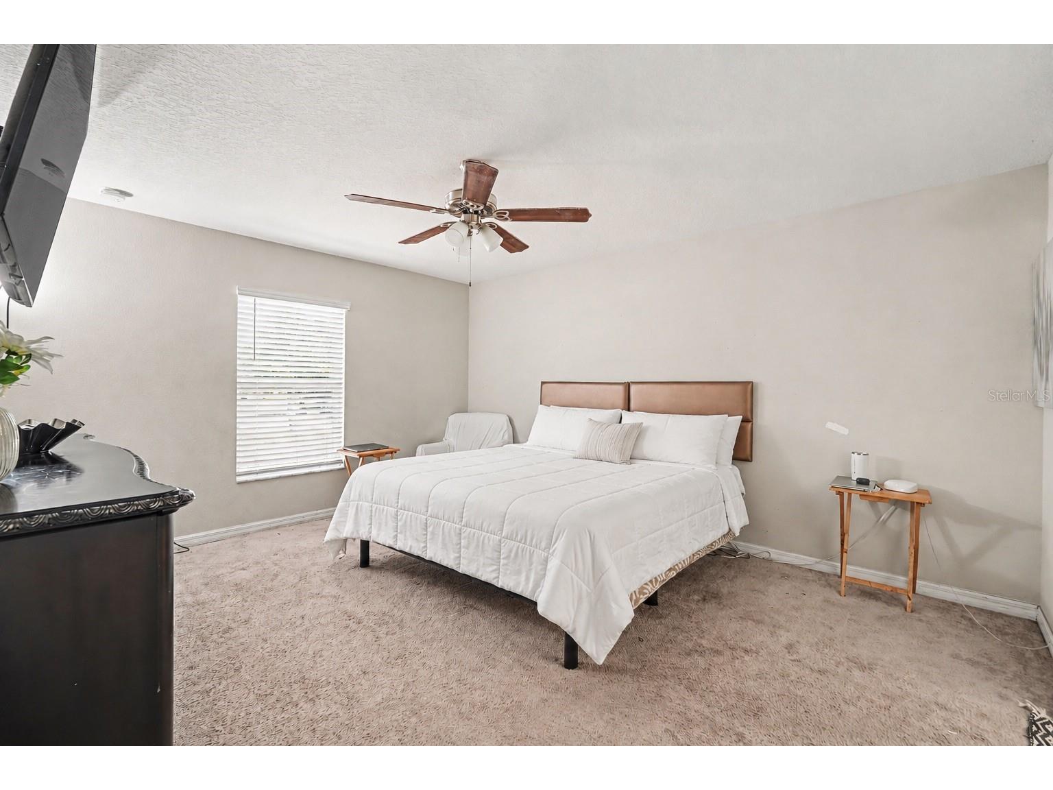 1733 Broad Winged Hawk Drive Ruskin FL 33570 TB8507973 image6
