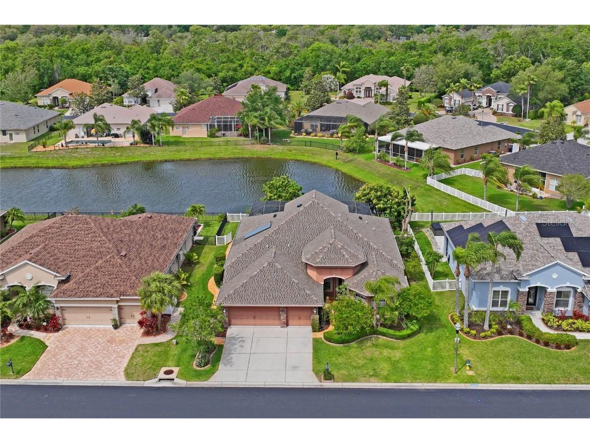 1733 Nodding Thistle Drive Trinity FL 34655 W7863771 image1