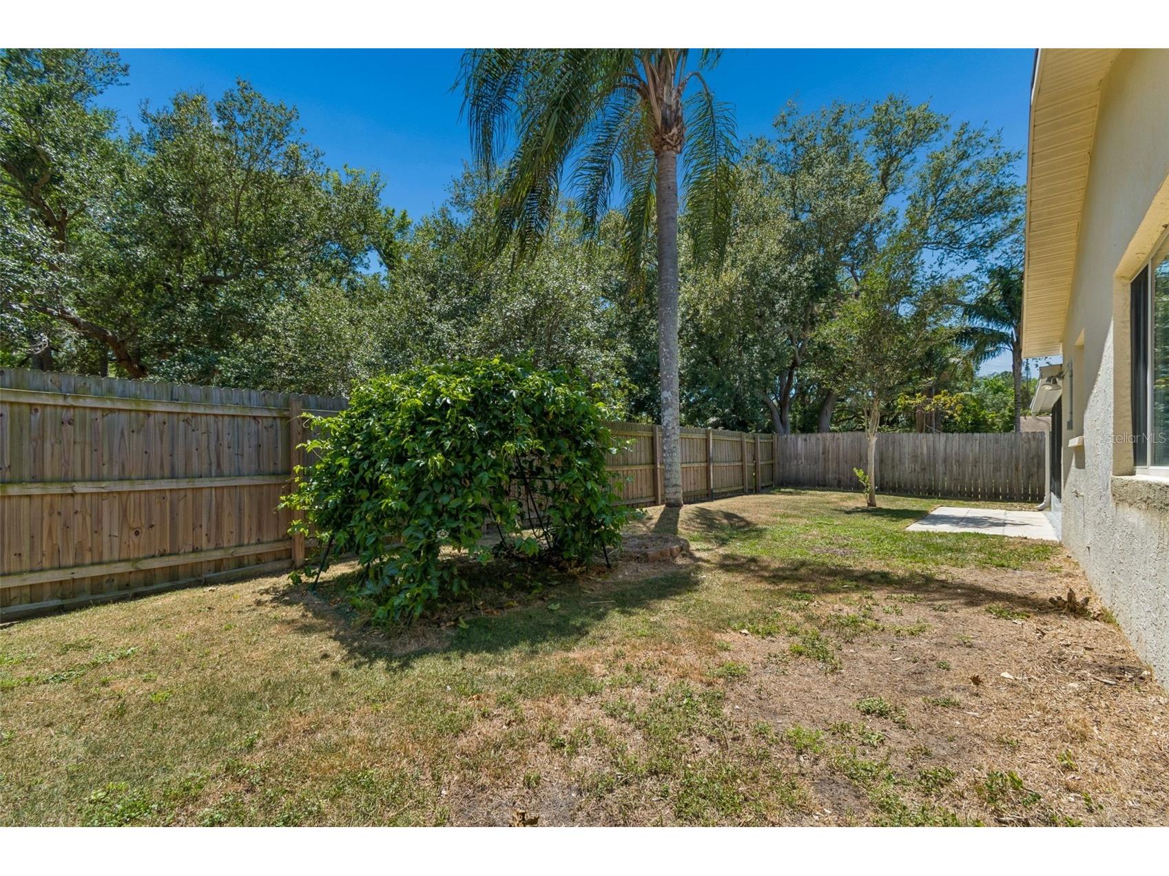 1733 Sutton Place Dunedin FL 34698 TB8502295 image34