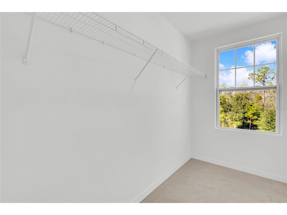 17330 Lake Star Road Winter Garden FL 34787 O6362471 image27