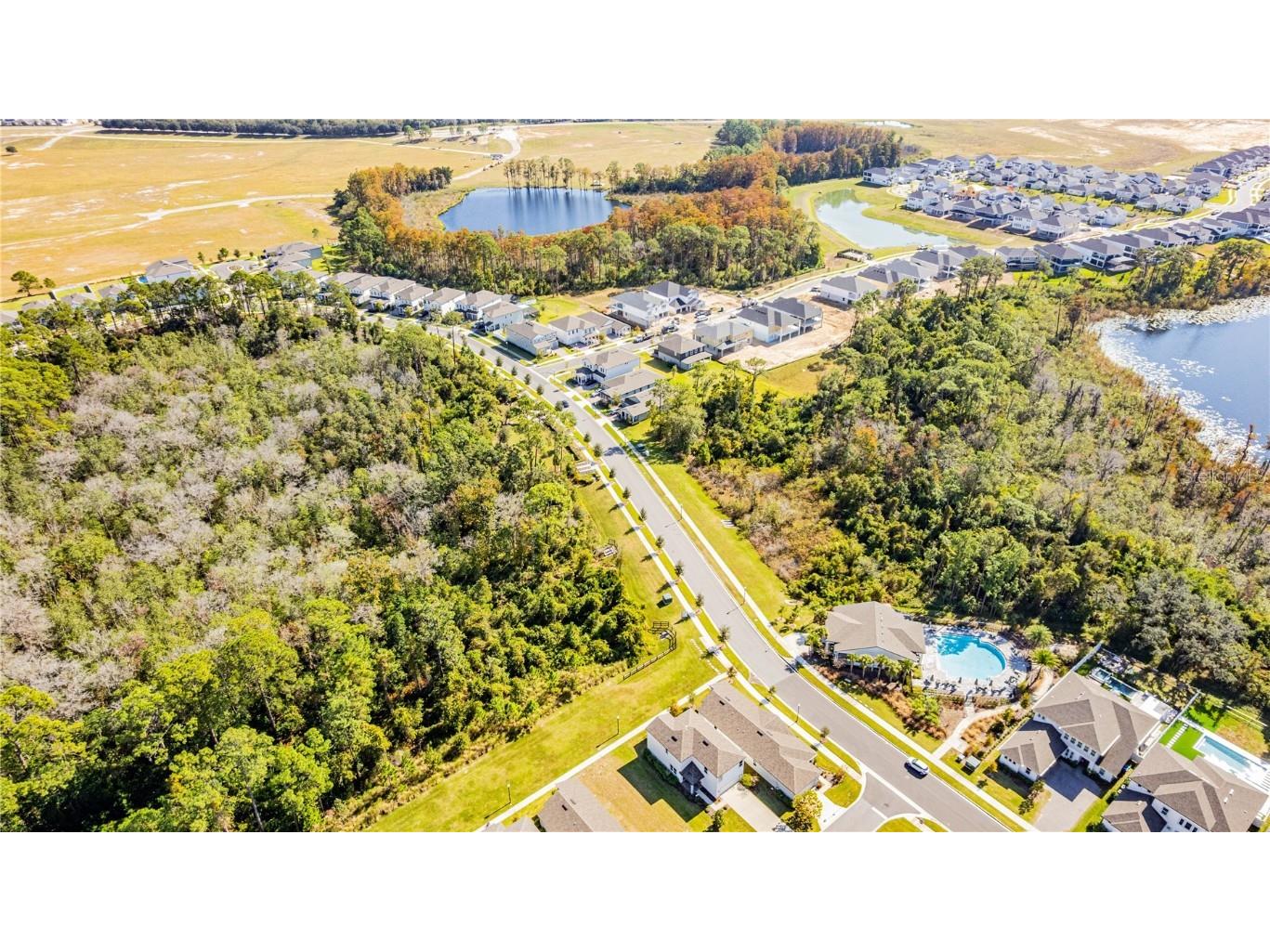 17330 Lake Star Road Winter Garden FL 34787 O6362471 image40