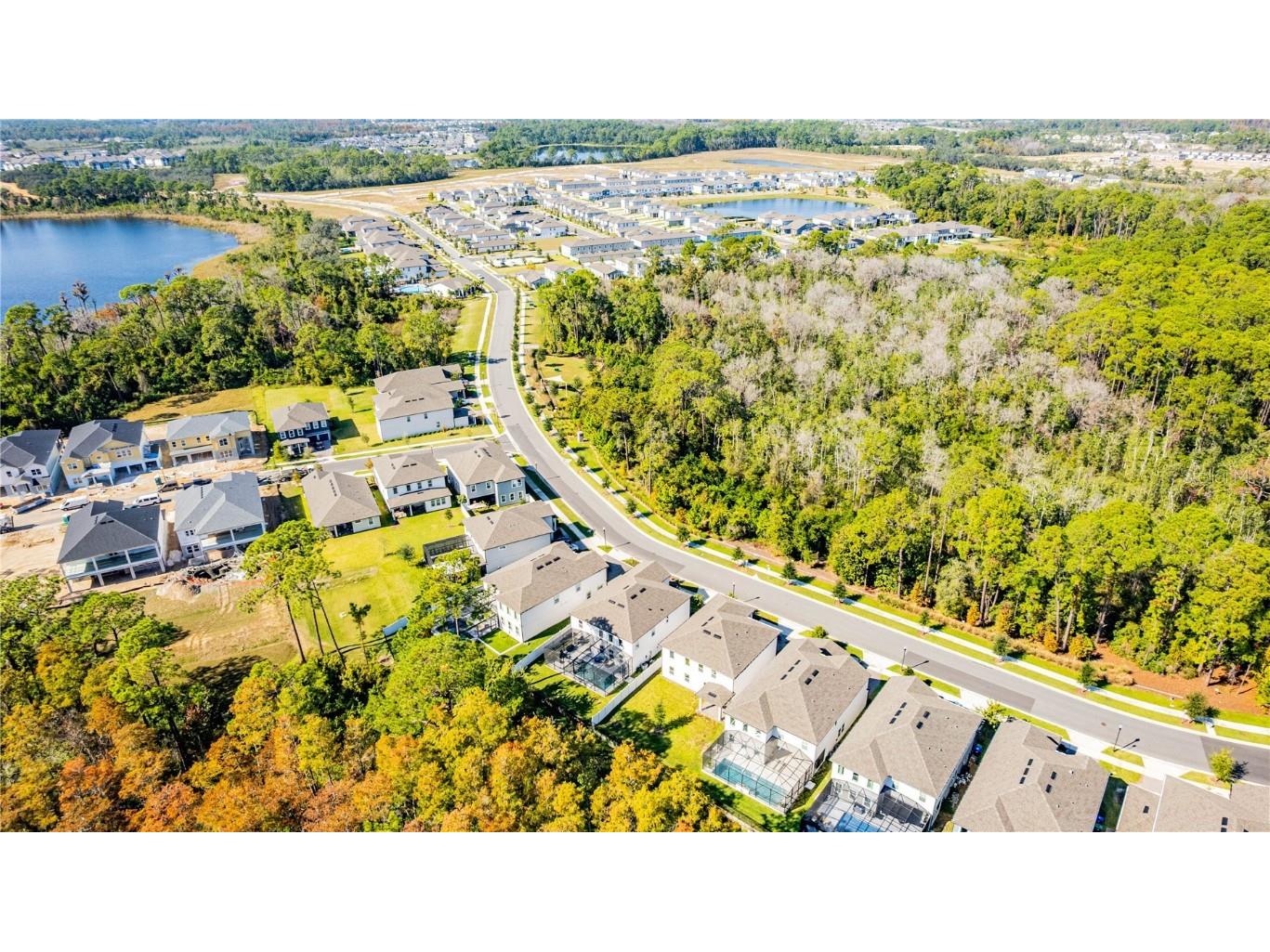 17330 Lake Star Road Winter Garden FL 34787 O6362471 image41