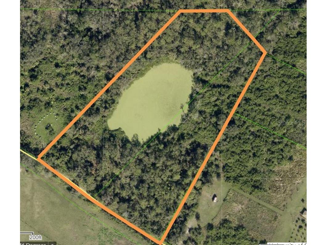 17330 Sorona Road Wimauma FL 33598 A4684421 image1