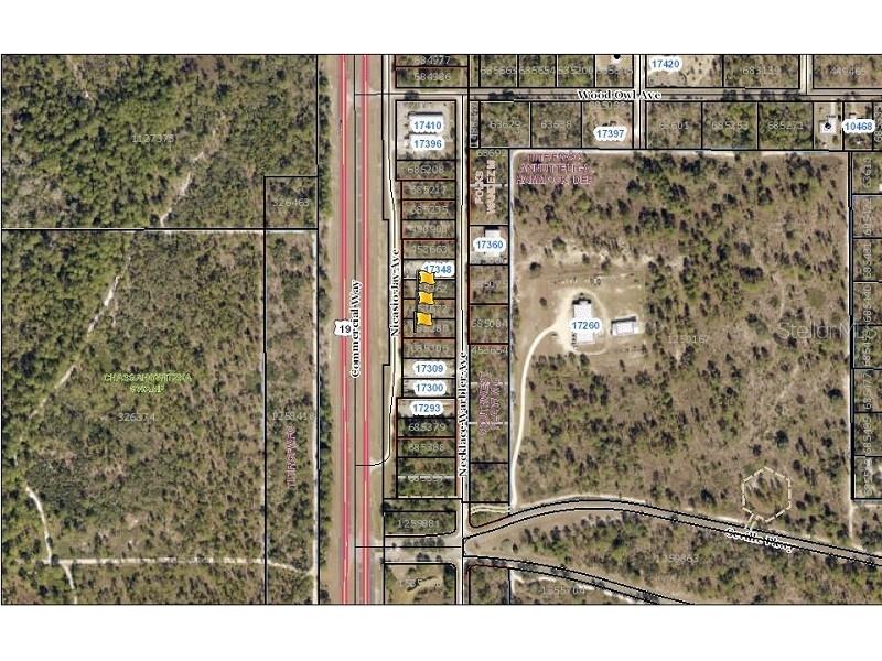 17332 Nicasio Jay Avenue Weeki Wachee FL 34614 W7834148 image1