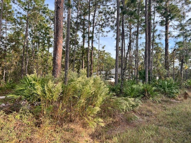 17334 Nutcracker Road Weeki Wachee FL 34614 W7869491 image1
