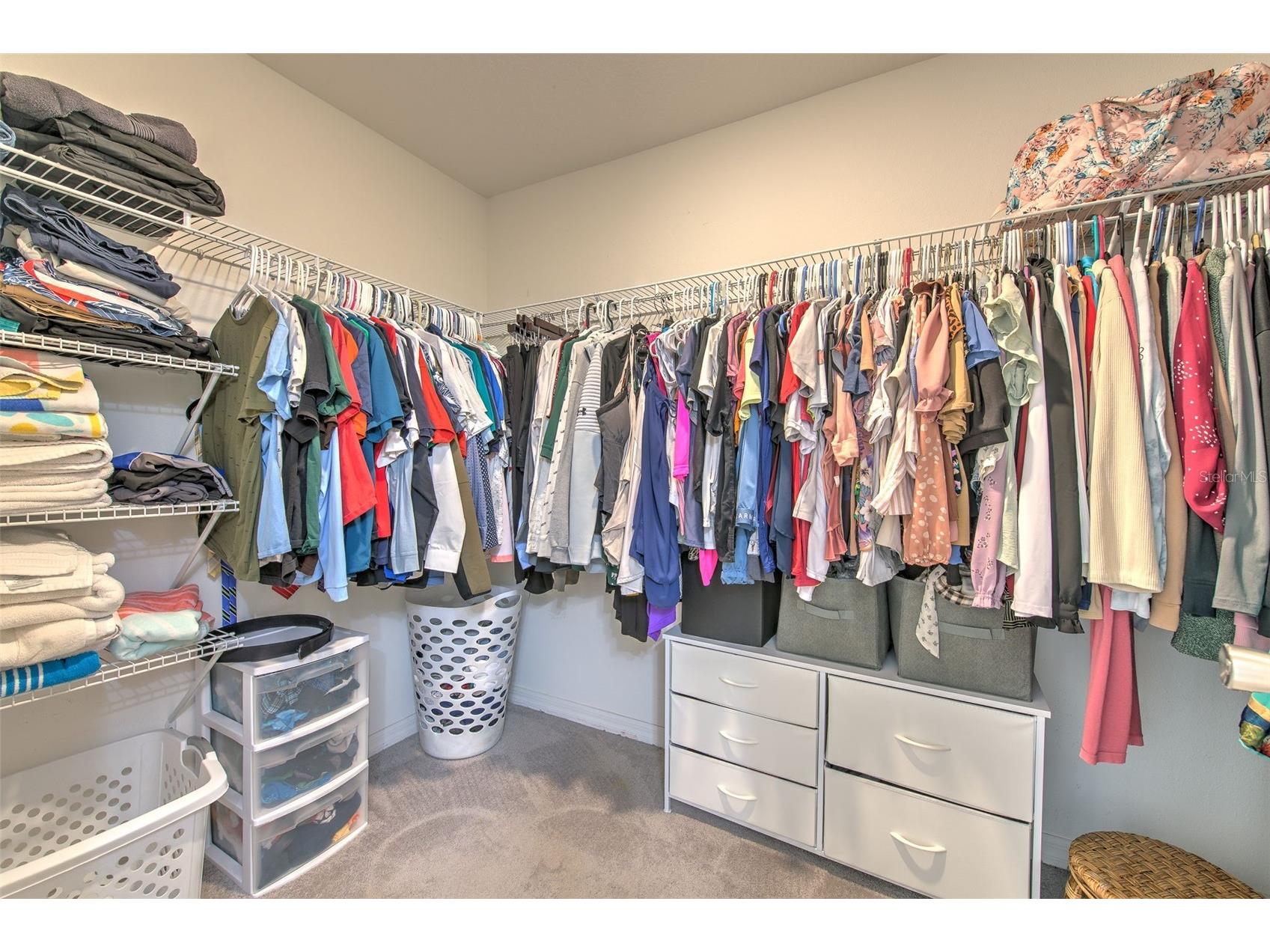 17334 White Mangrove Drive Wimauma FL 33598 TB8504905 image19