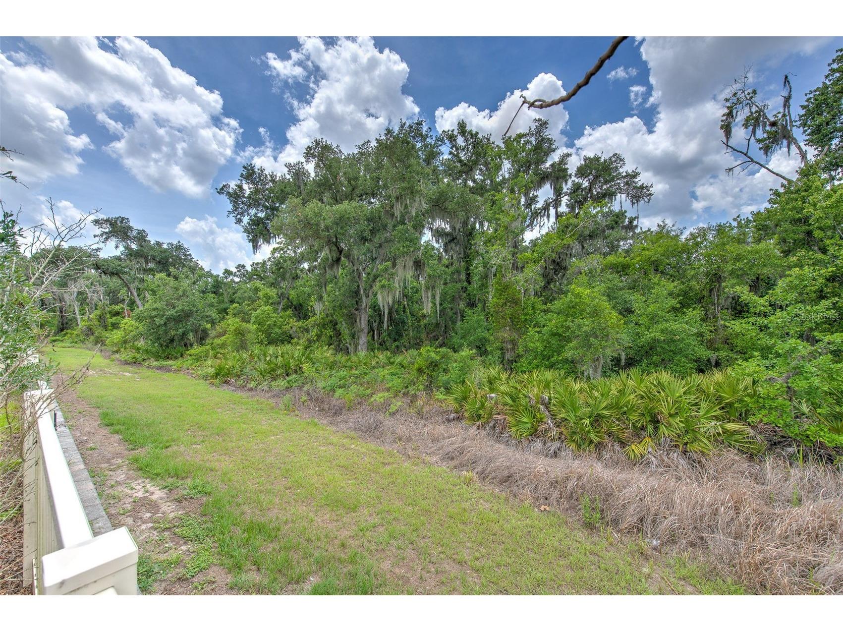 17334 White Mangrove Drive Wimauma FL 33598 TB8504905 image25