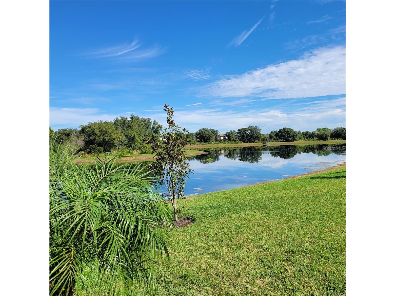 17335 Blue Ridge Place Bradenton FL 34211 A4690728 image29