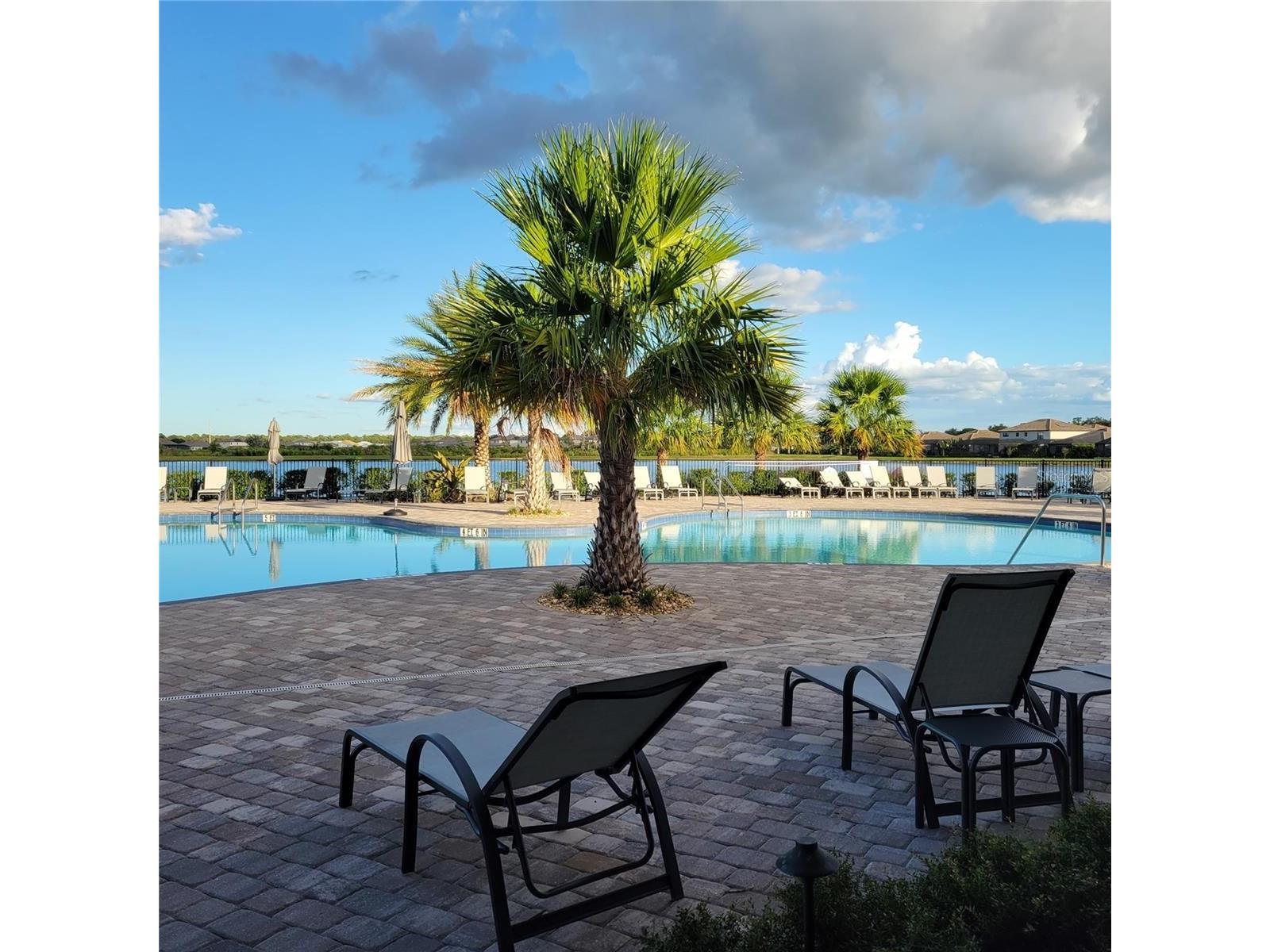 17335 Blue Ridge Place Bradenton FL 34211 A4690728 image32