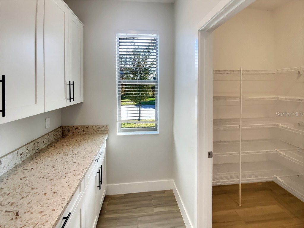 17335 Brighton Lake Road Land O Lakes FL 34638 TB8454363 image20