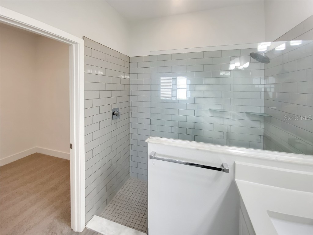 17335 Brighton Lake Road Land O Lakes FL 34638 TB8454363 image31