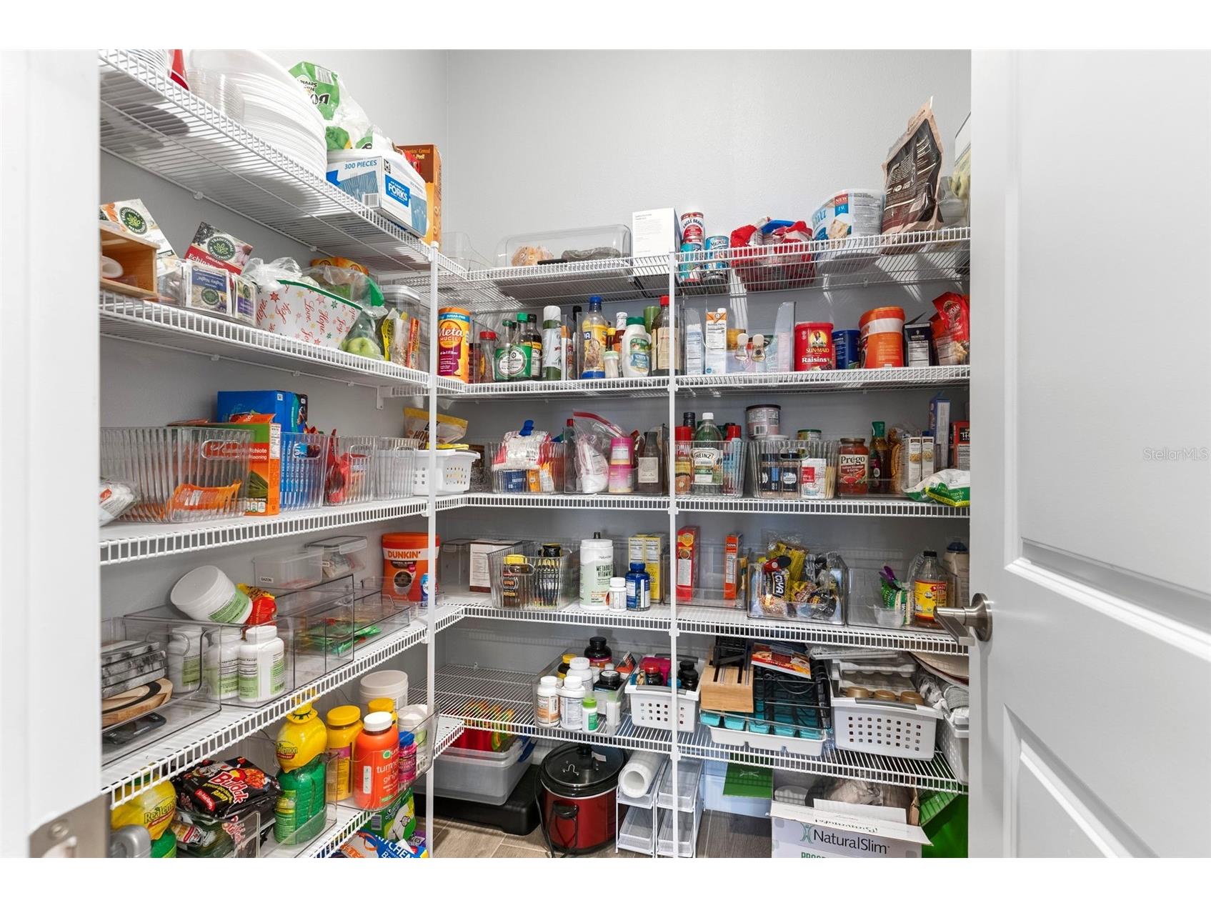 17335 Holly Well Avenue Wimauma FL 33598 TB8471449 image16