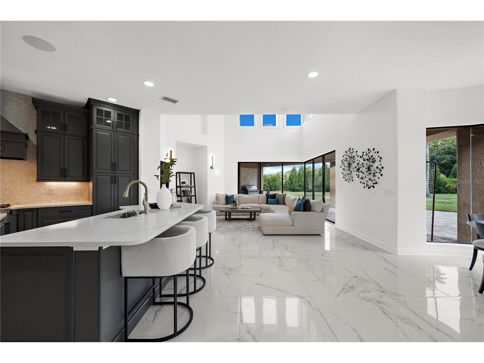 17336 Ballmont Park Drive Odessa FL 33556 TB8448355 image20