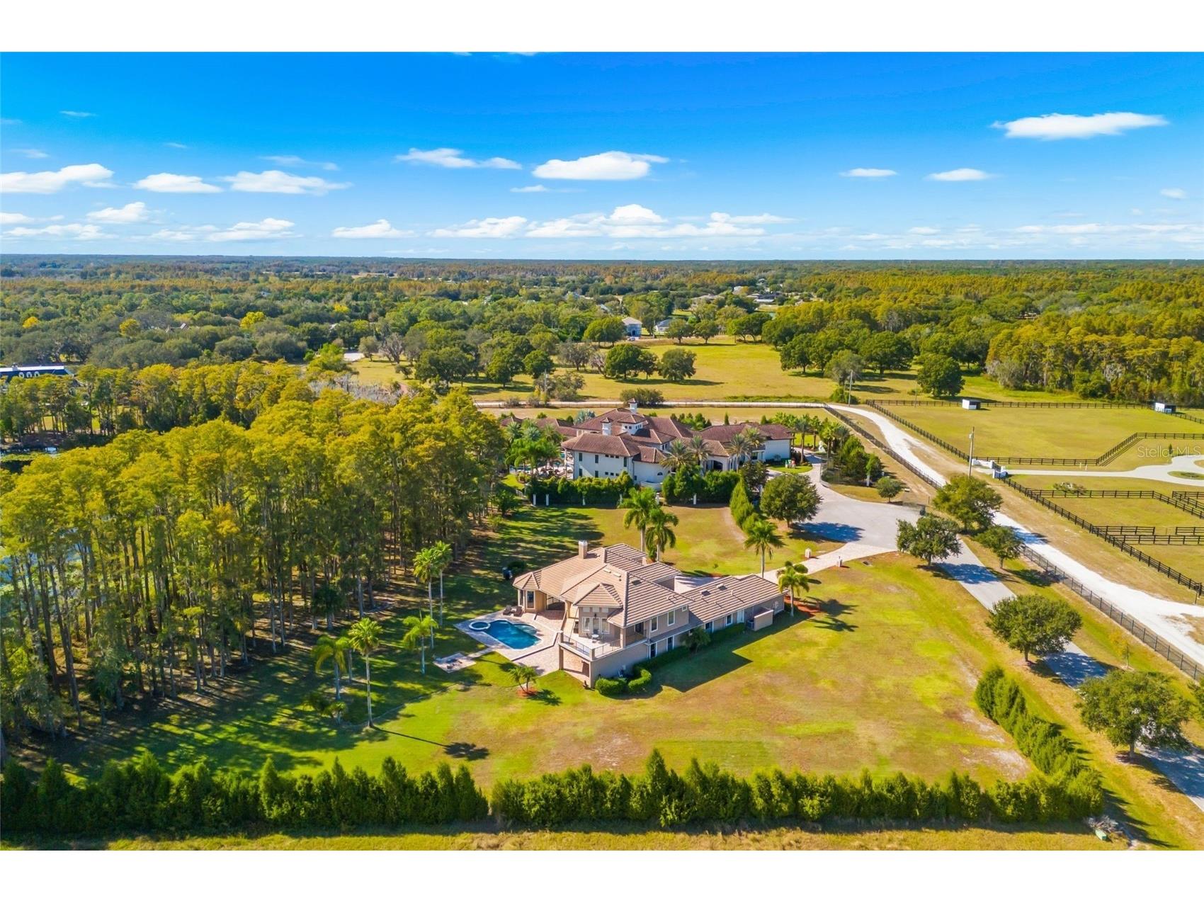 17336 Ballmont Park Drive Odessa FL 33556 TB8448355 image3