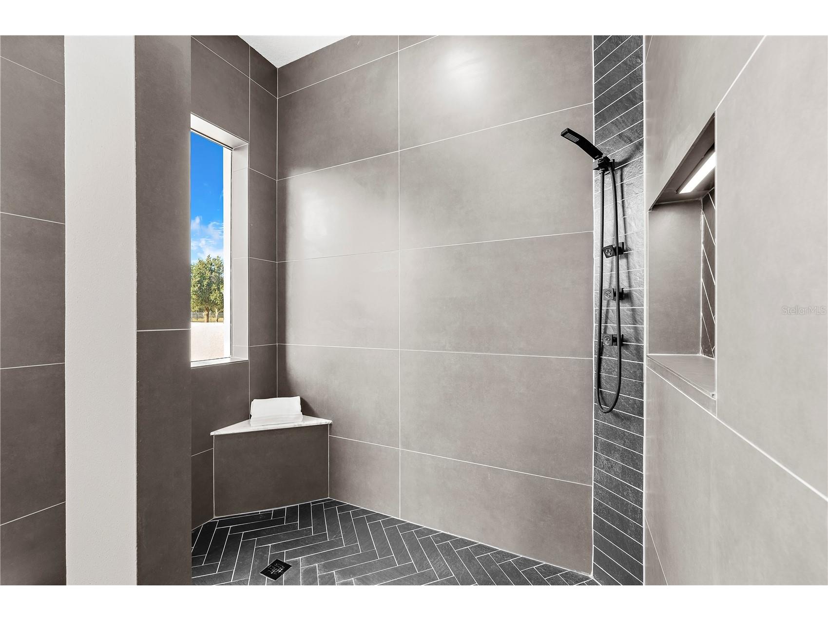 17336 Ballmont Park Drive Odessa FL 33556 TB8448355 image39