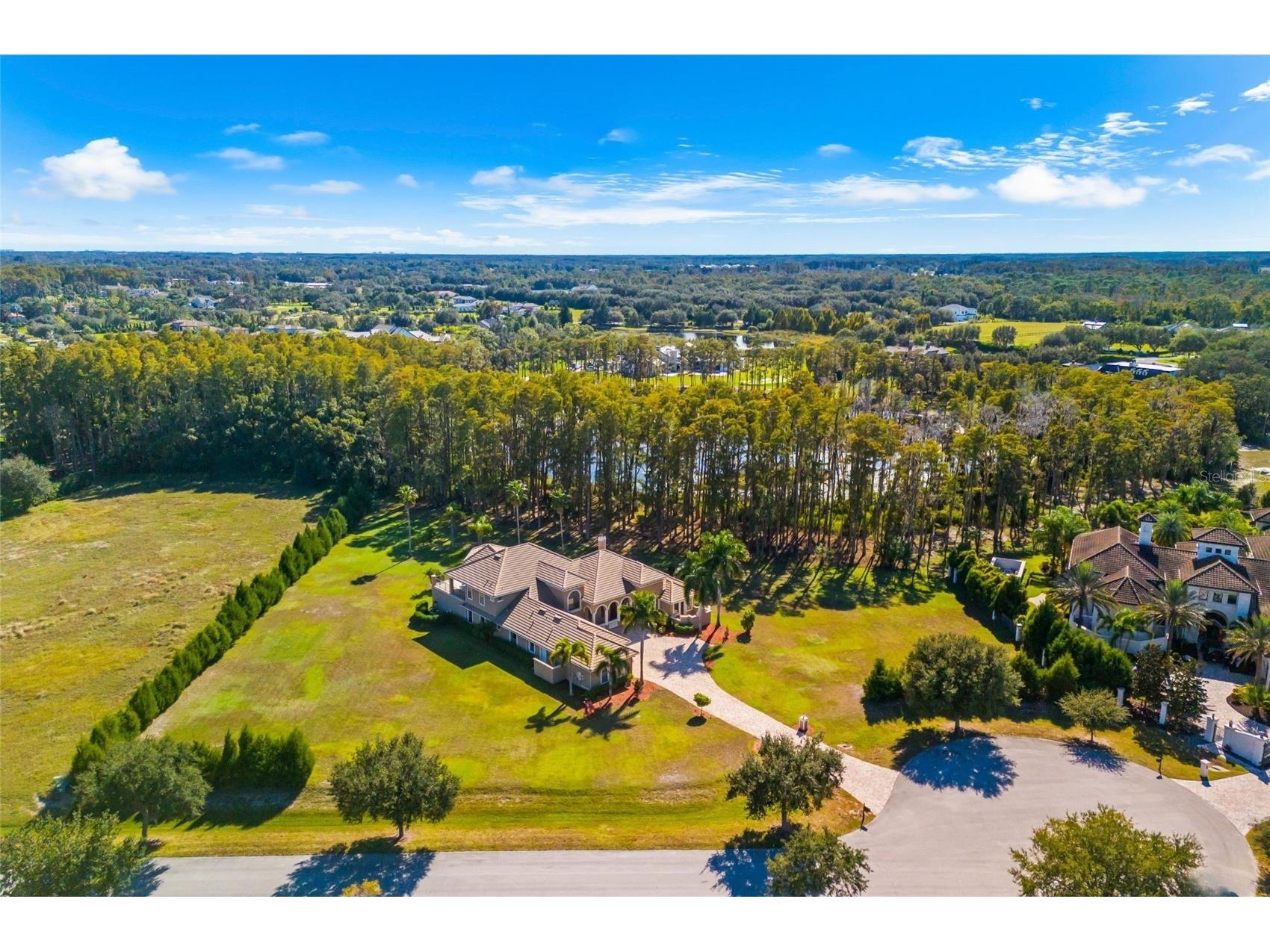 17336 Ballmont Park Drive Odessa FL 33556 TB8448355 image4