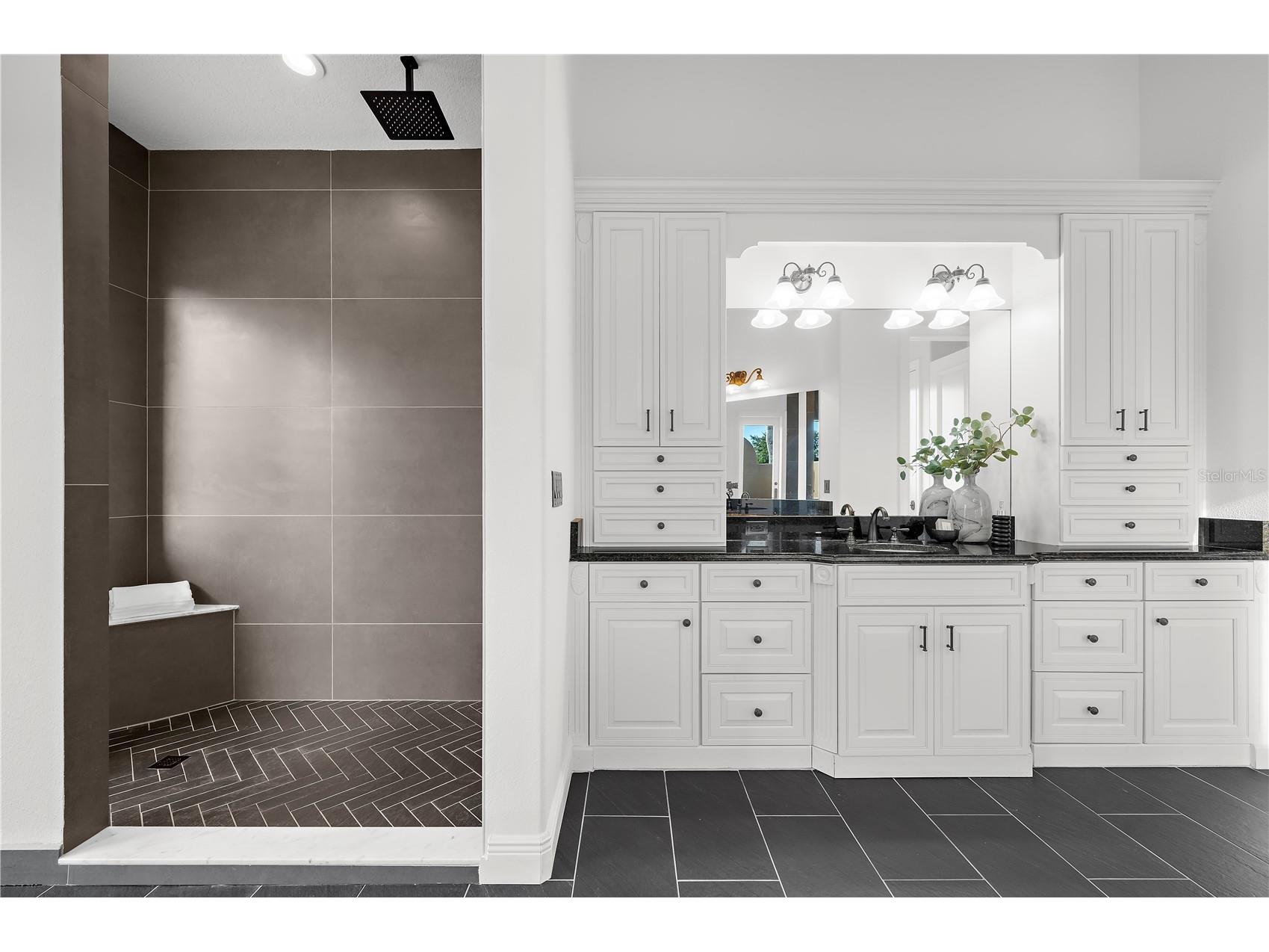 17336 Ballmont Park Drive Odessa FL 33556 TB8448355 image40