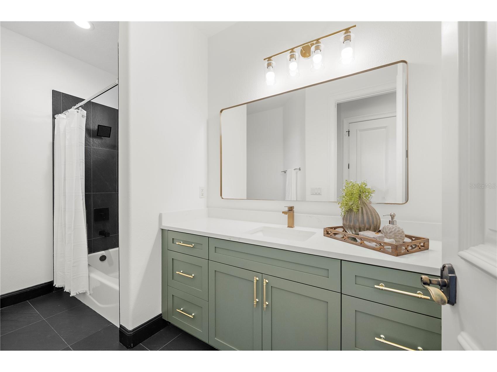 17336 Ballmont Park Drive Odessa FL 33556 TB8448355 image48