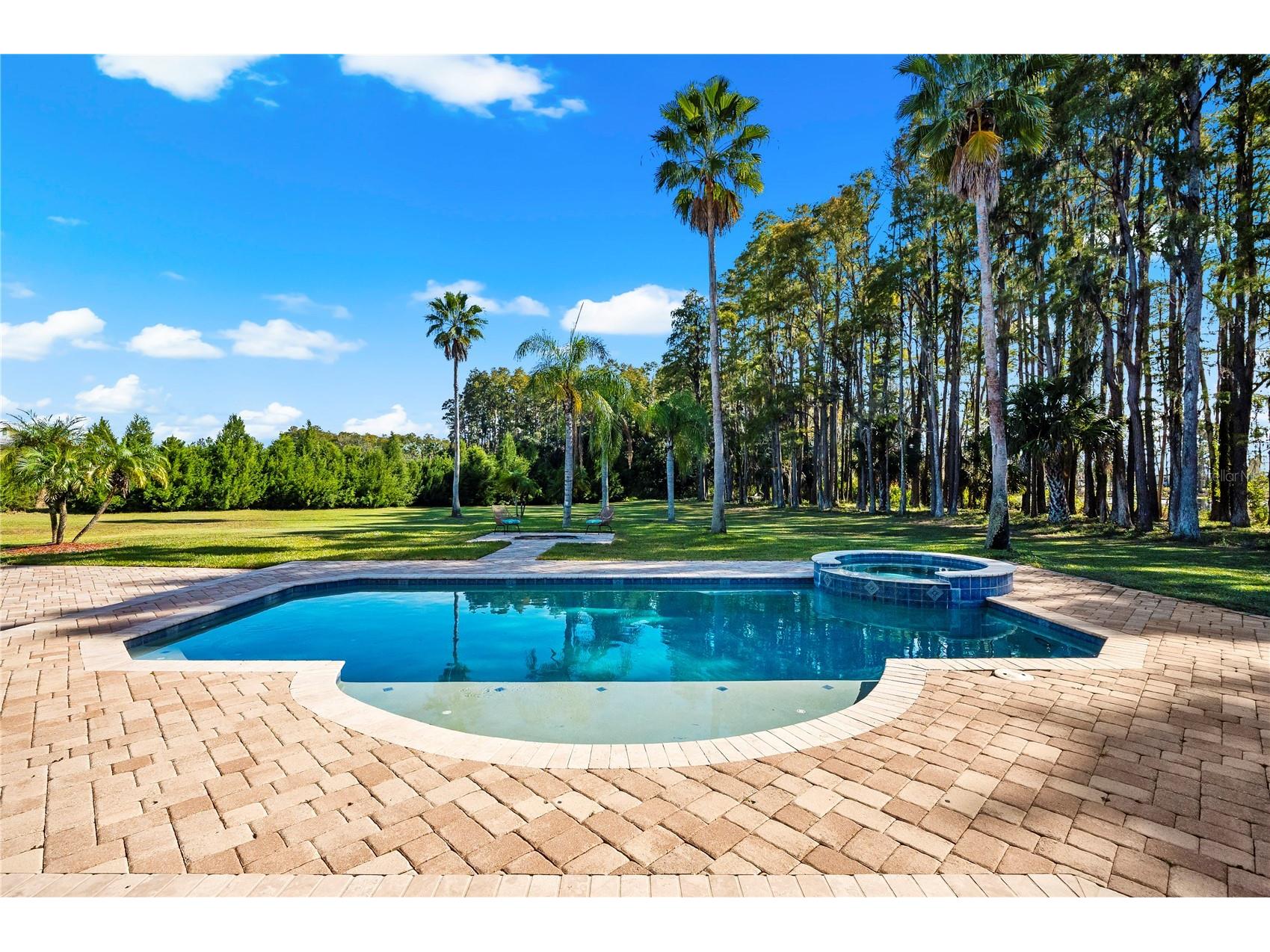 17336 Ballmont Park Drive Odessa FL 33556 TB8448355 image55