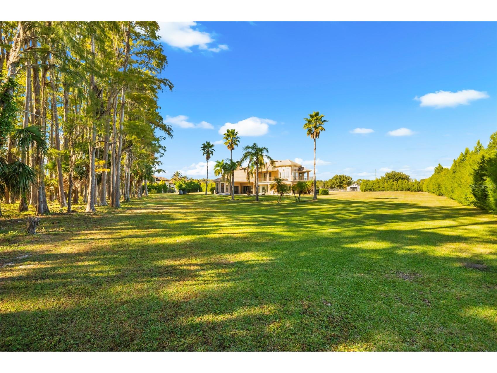 17336 Ballmont Park Drive Odessa FL 33556 TB8448355 image63