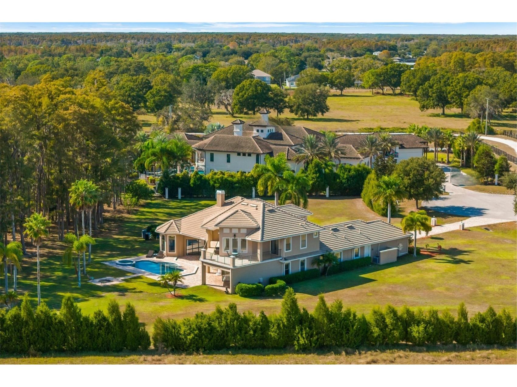 17336 Ballmont Park Drive Odessa FL 33556 TB8448355 image65