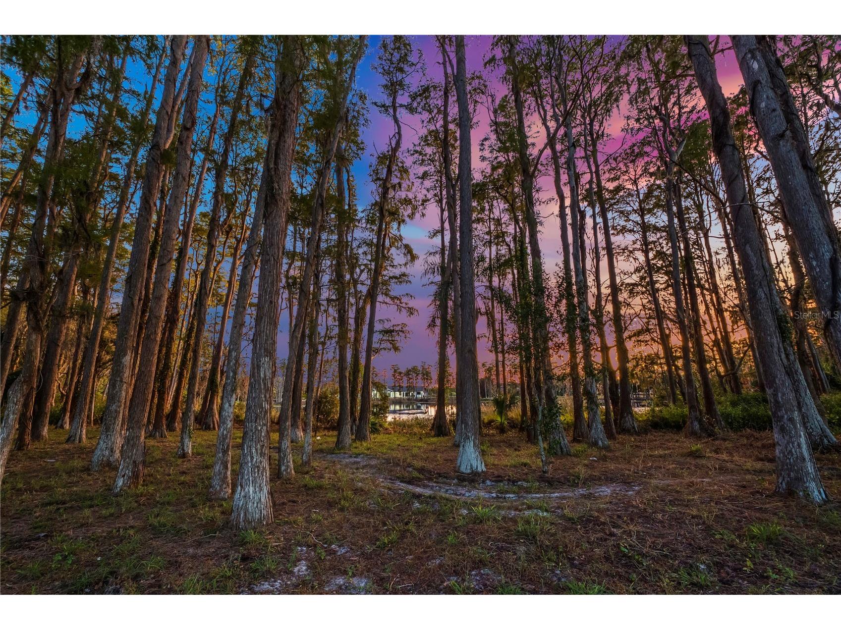 17336 Ballmont Park Drive Odessa FL 33556 TB8448355 image69