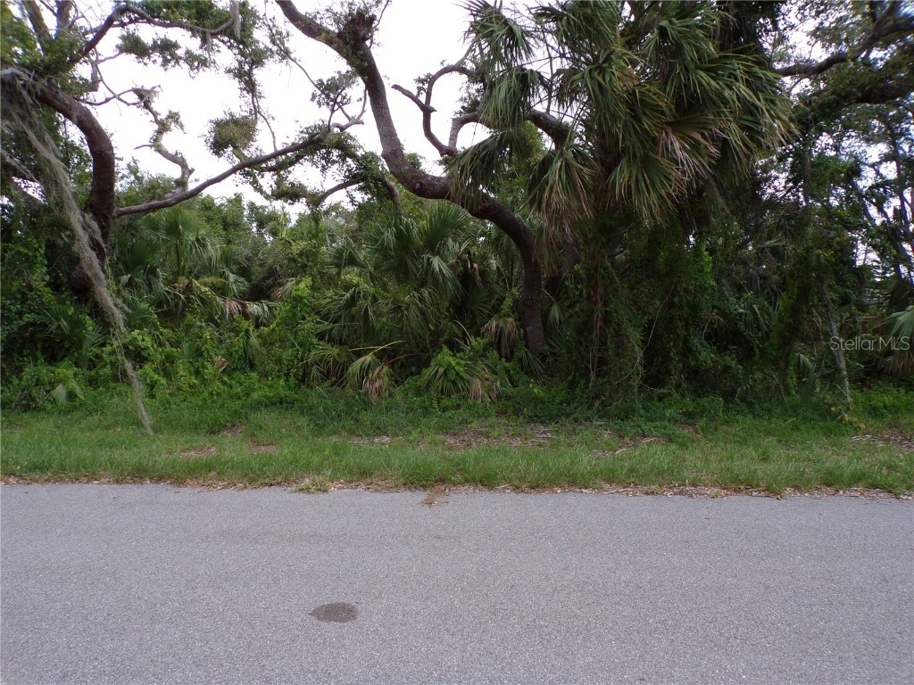 17336 Marcy Avenue Port Charlotte FL 33948 C7477405 image1