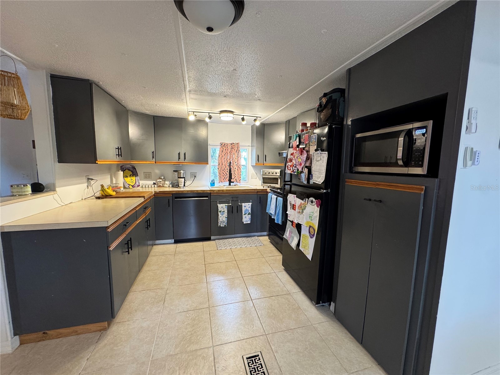 17336 Palm Drive Montverde FL 34756 O6414848 image11