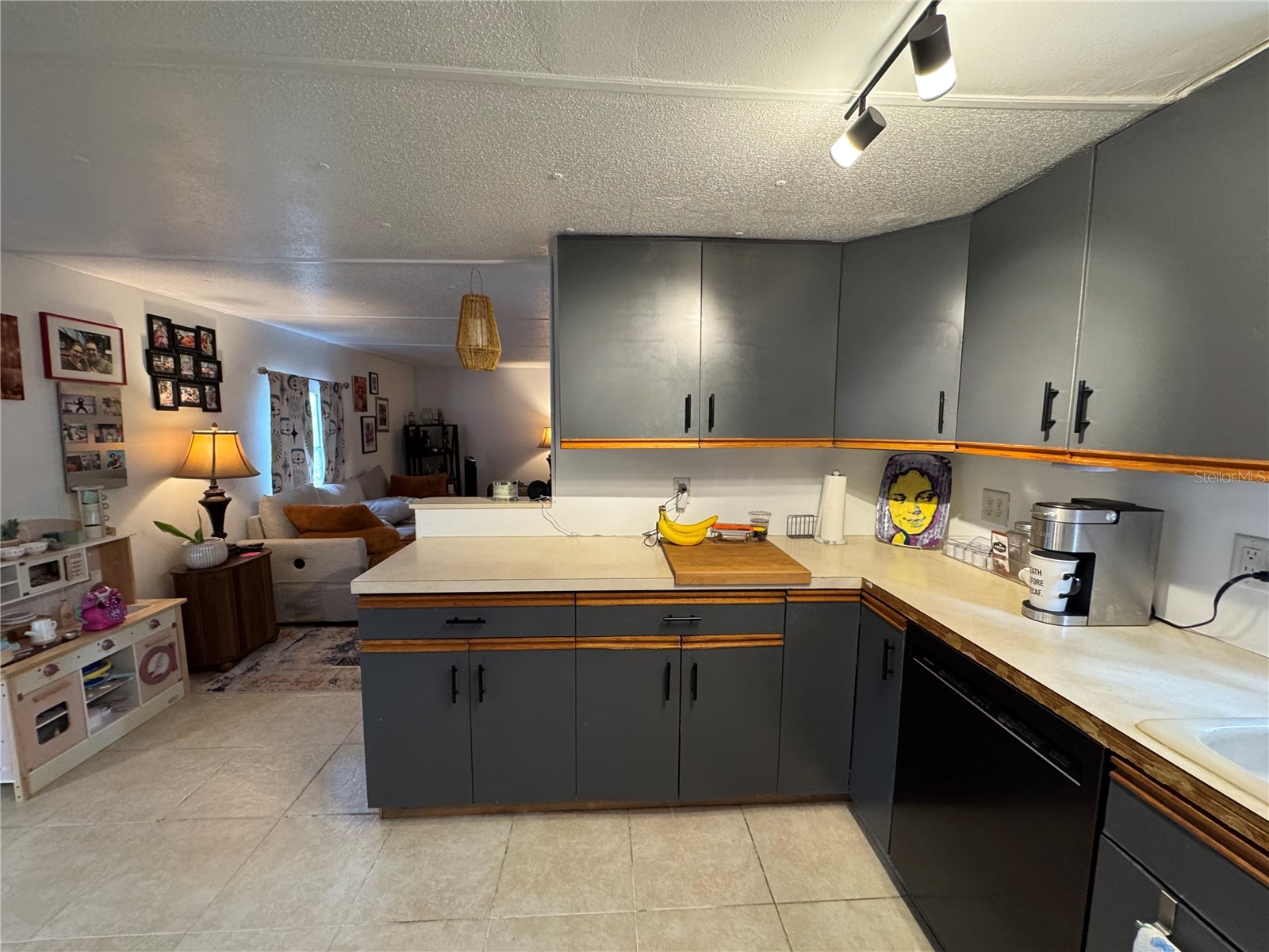 17336 Palm Drive Montverde FL 34756 O6414848 image12