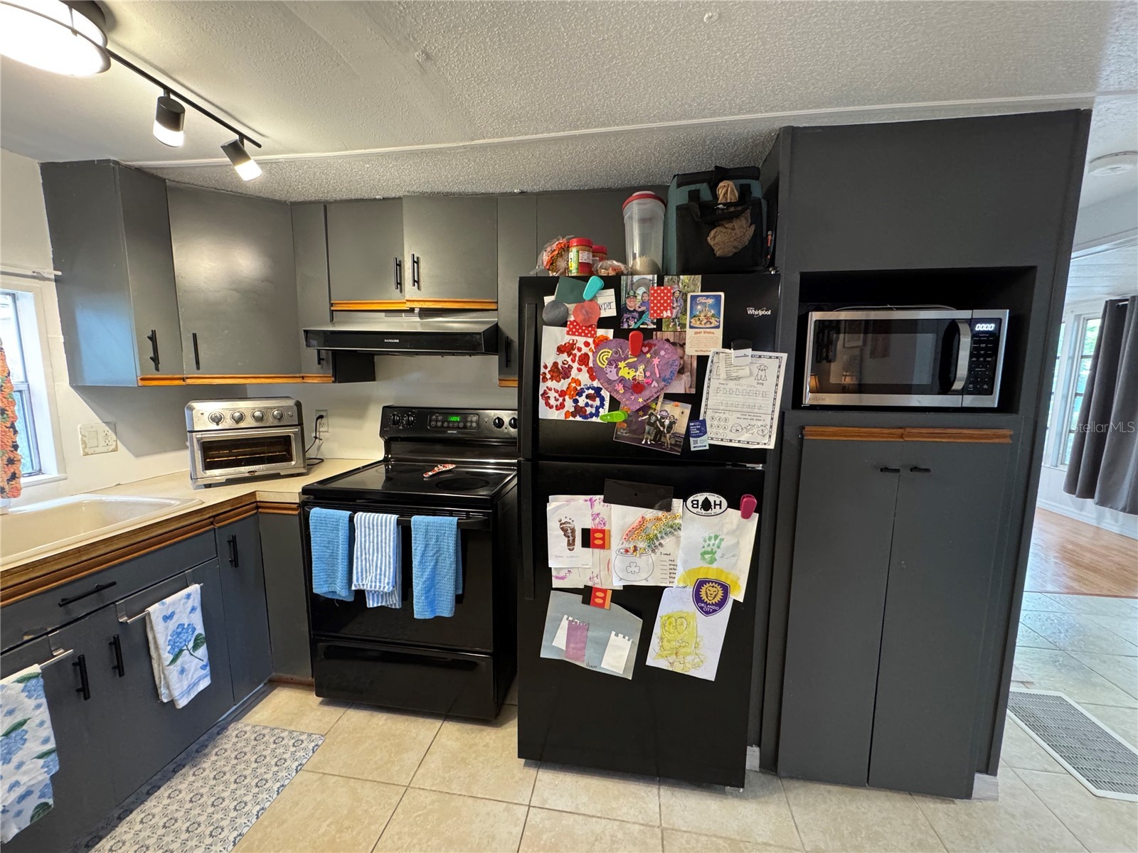 17336 Palm Drive Montverde FL 34756 O6414848 image13