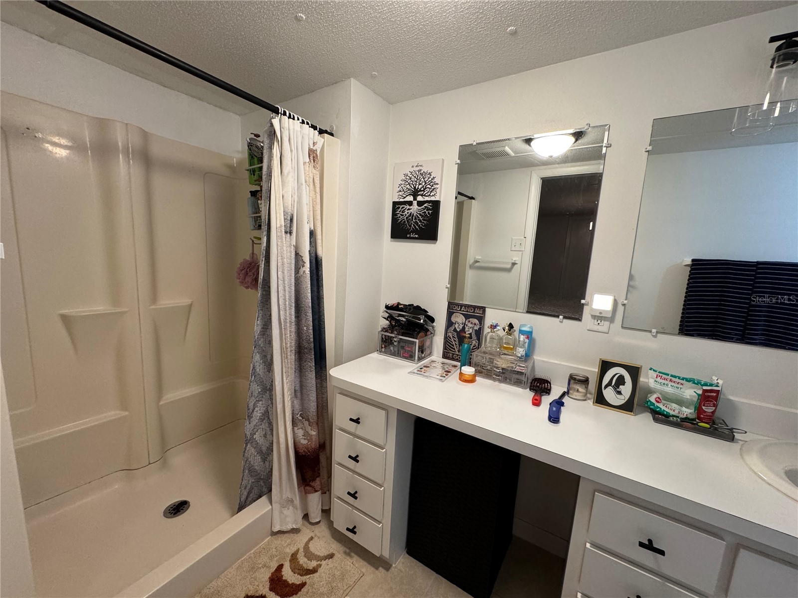 17336 Palm Drive Montverde FL 34756 O6414848 image17