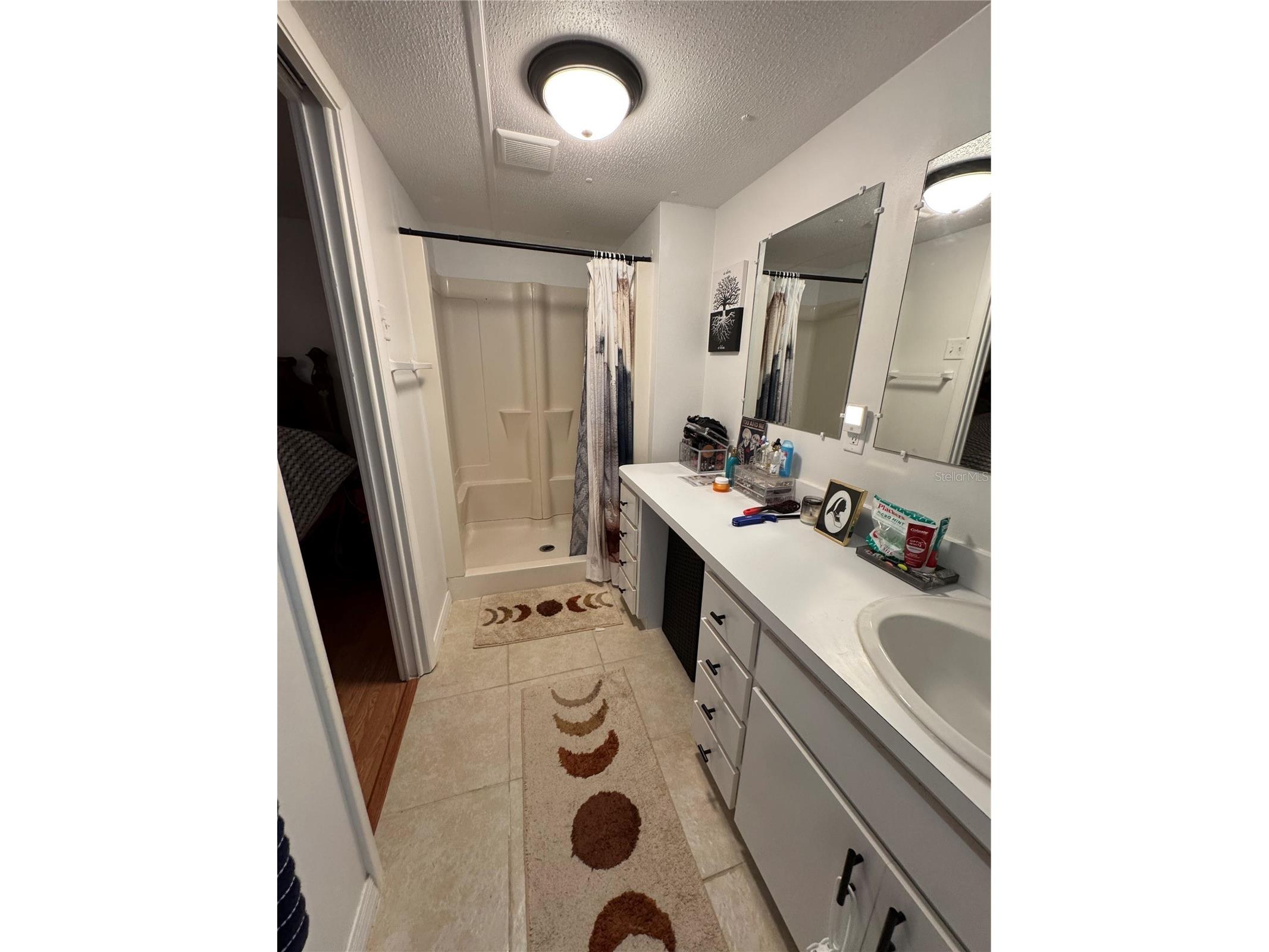 17336 Palm Drive Montverde FL 34756 O6414848 image18