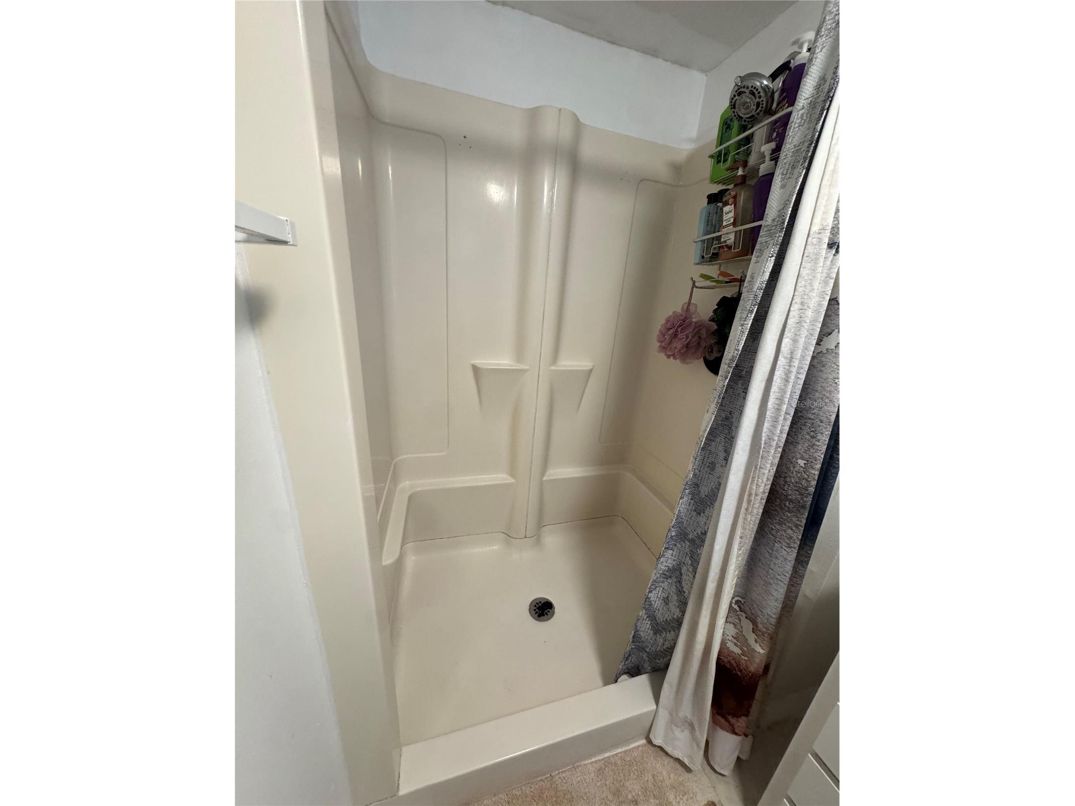 17336 Palm Drive Montverde FL 34756 O6414848 image19