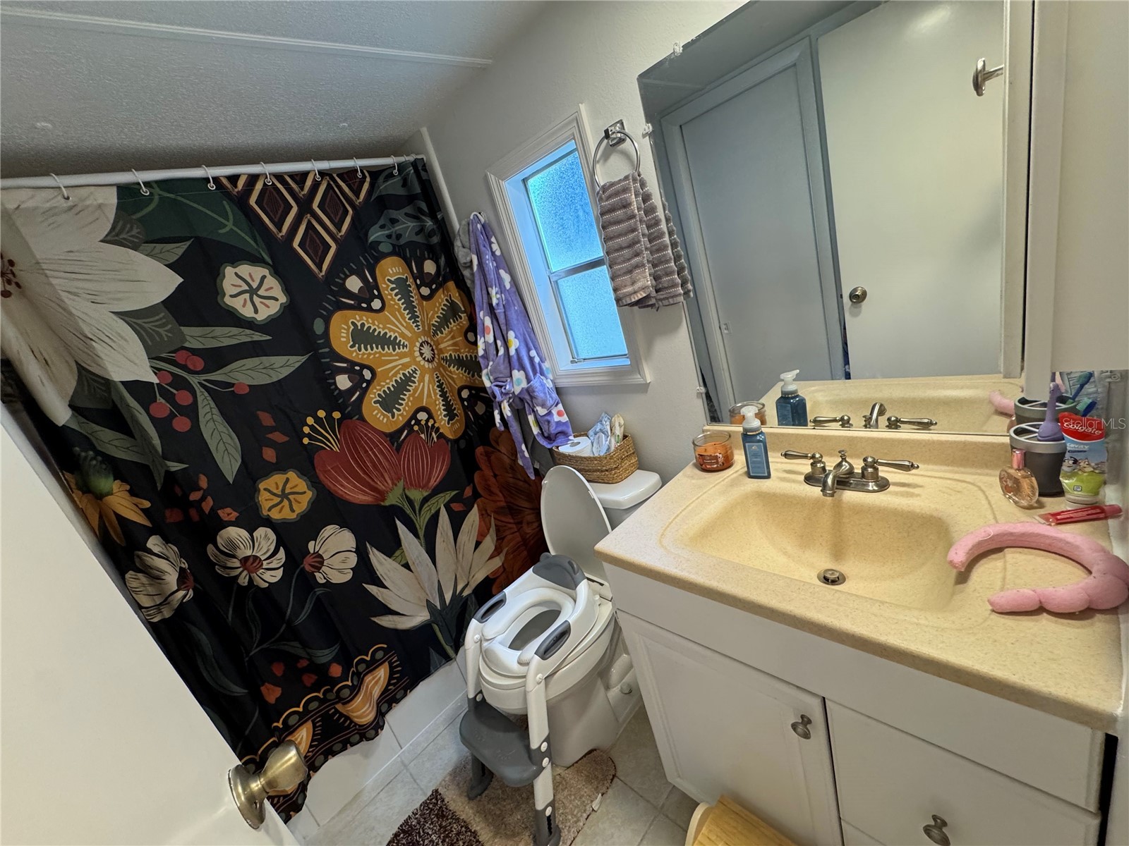17336 Palm Drive Montverde FL 34756 O6414848 image26