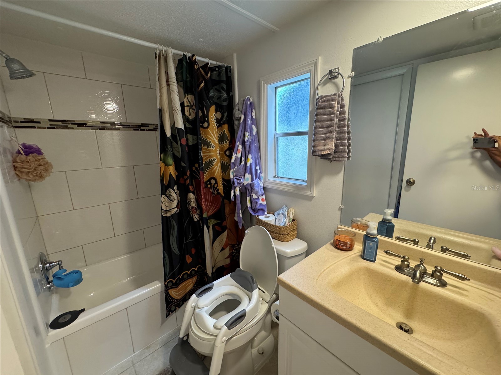 17336 Palm Drive Montverde FL 34756 O6414848 image27