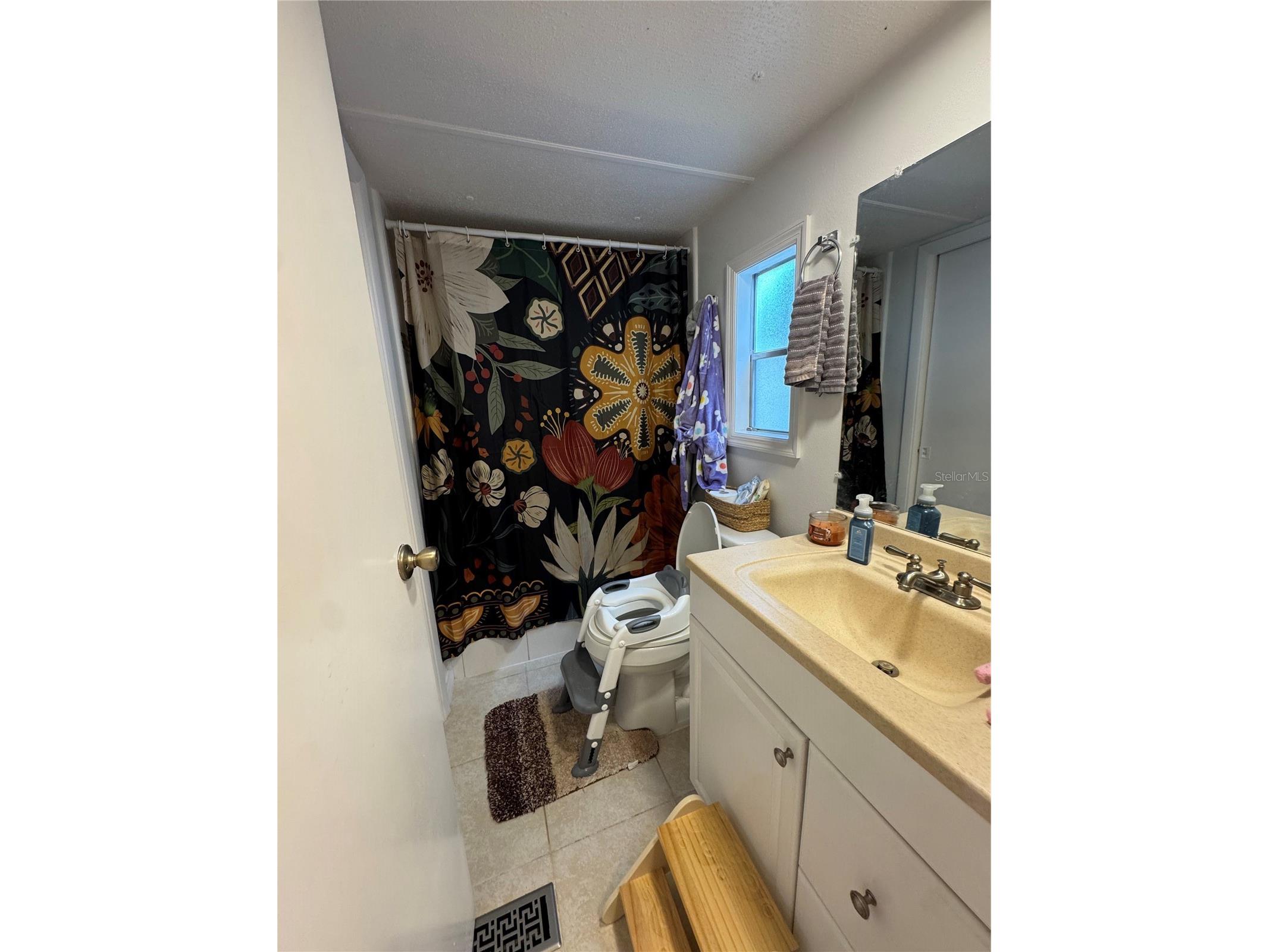 17336 Palm Drive Montverde FL 34756 O6414848 image28