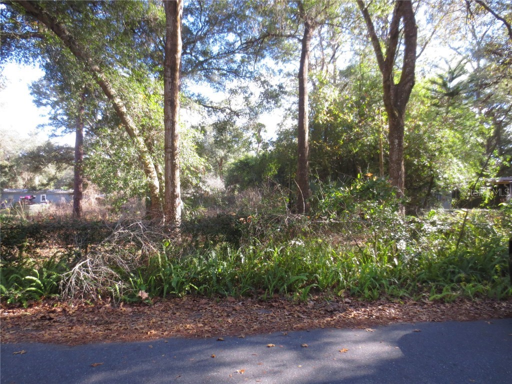 17336 SE 66th Place Ocklawaha FL 32179 - TAHOE CRYSTAL WINDEMIER OM651189 image1