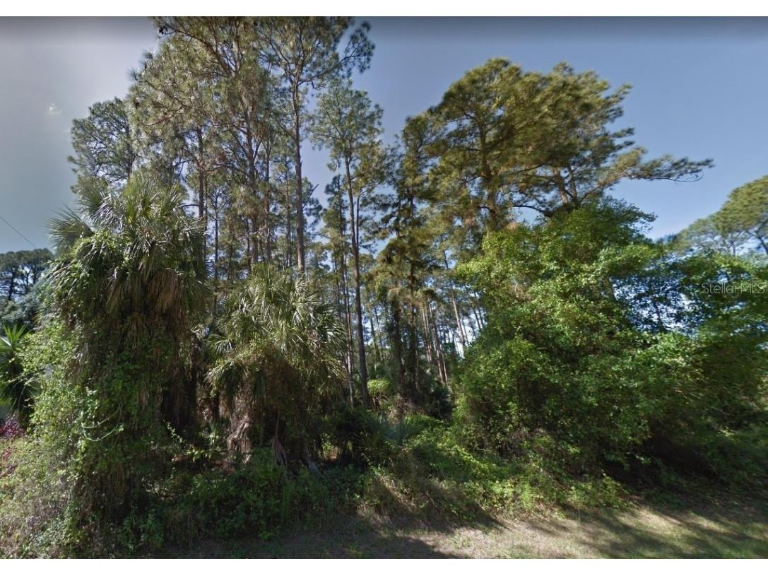 17337 Orion Avenue Port Charlotte FL 33954 A4520508 image1