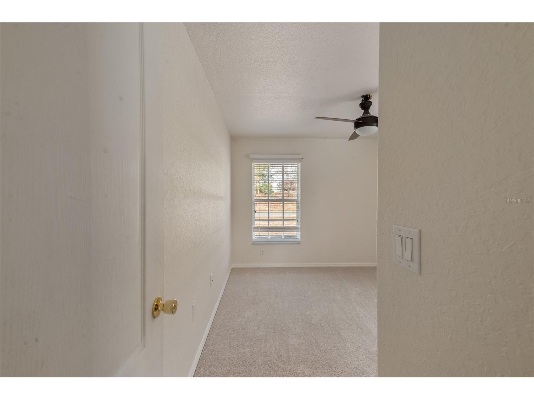 17338 Mediterranean Circle Weeki Wachee FL 34614 TB8467535 image19
