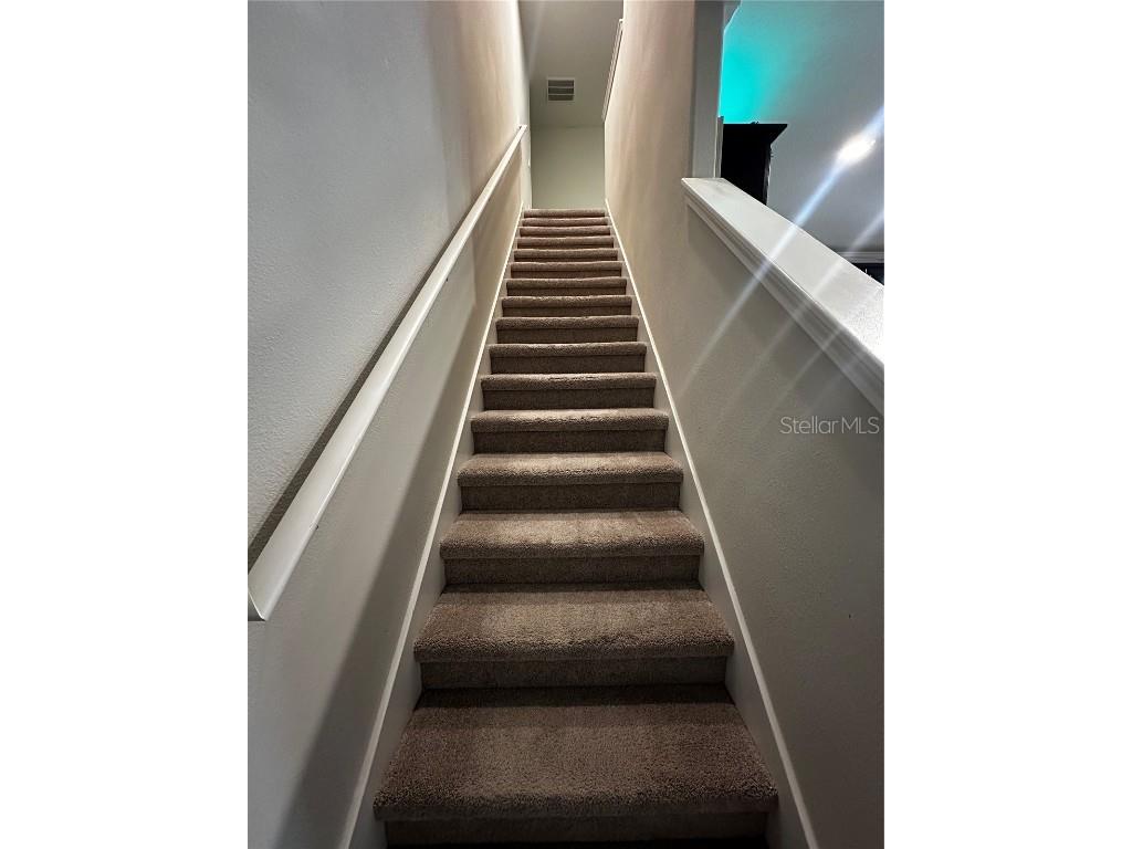 17338 Old Tobacco Road Lutz FL 33558 TB8422383 image12